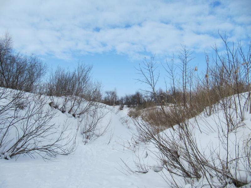 Прикрепленное изображение