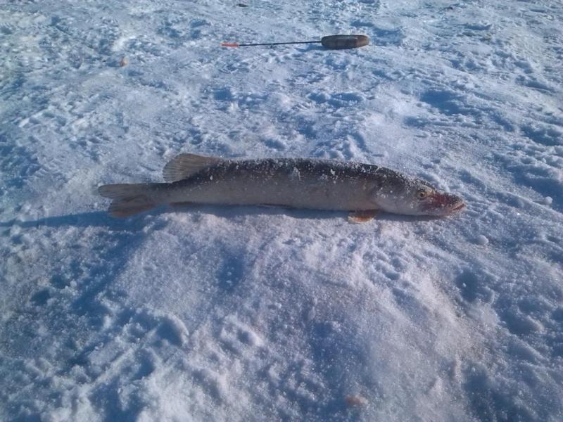 Прикрепленное изображение