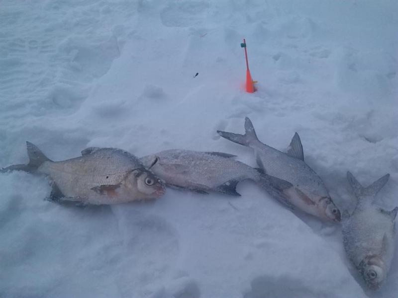 Прикрепленное изображение