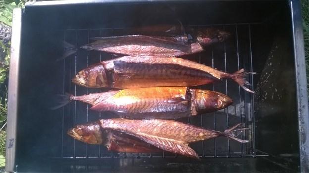 скумбрия.jpg