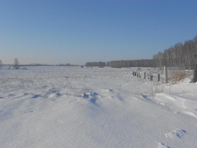 DSCN1139.JPG