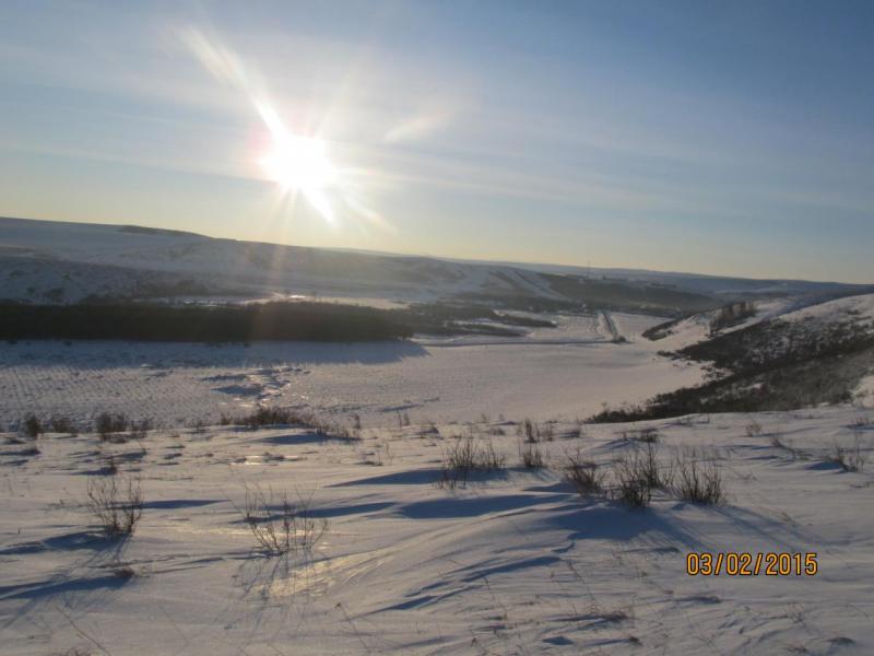 Изображение 016.jpg