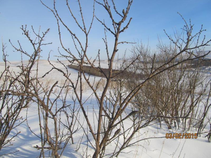 Изображение 019.jpg