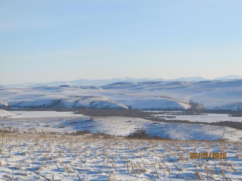 Изображение 017.jpg