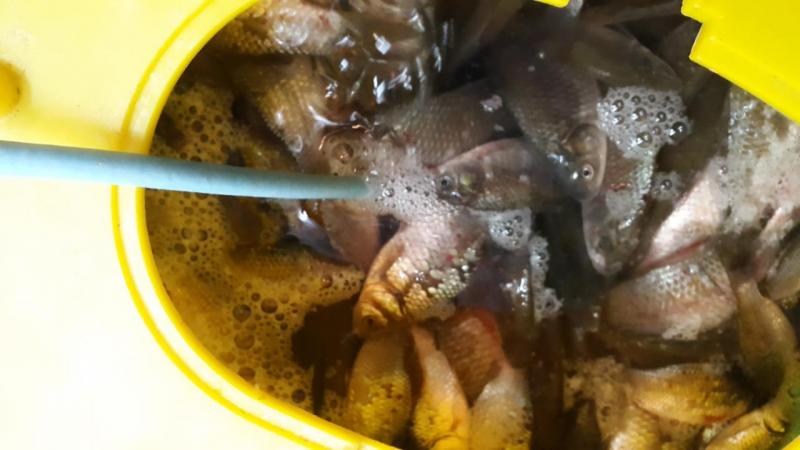 20150227_095914.jpg