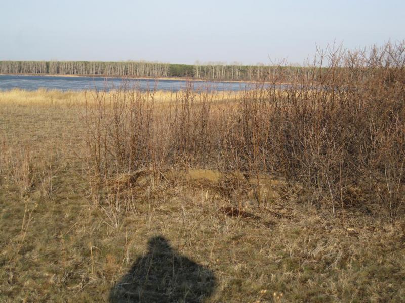 IMG_2326.JPG
