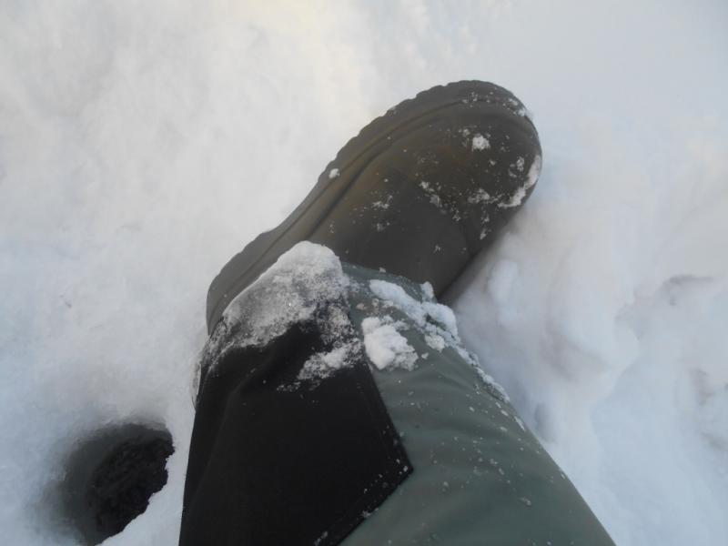 Прикрепленное изображение