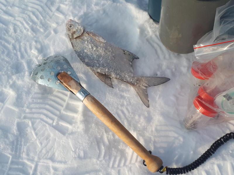 Прикрепленное изображение