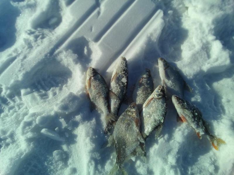 Прикрепленное изображение