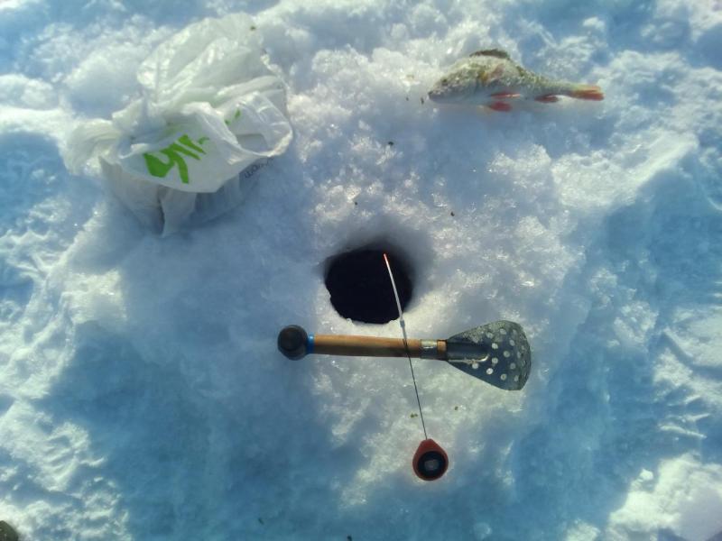 Прикрепленное изображение