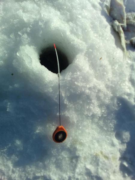 Прикрепленное изображение