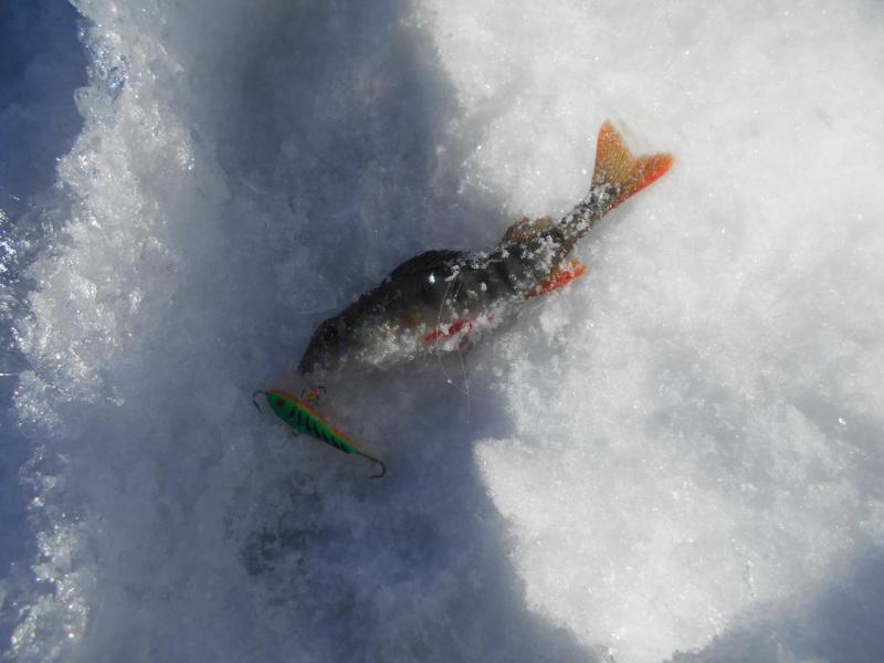 Прикрепленное изображение