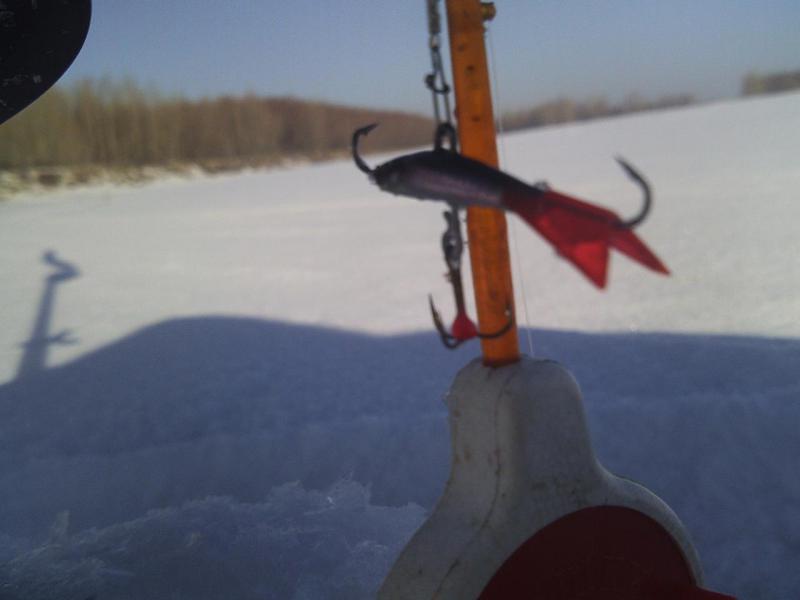 Прикрепленное изображение: SUNP0015.JPG