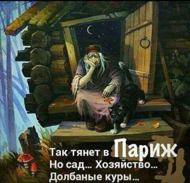 image (8).jpeg