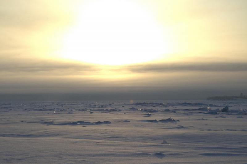 DSC_1014.jpg