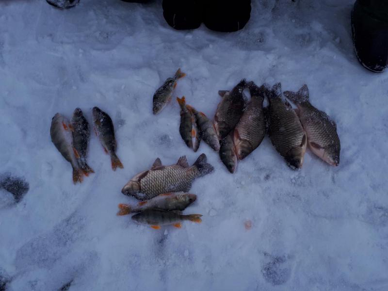 20180224_145141.jpg