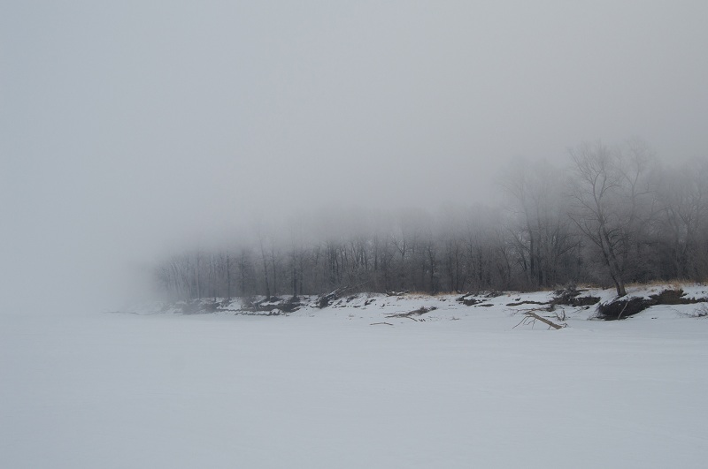DSC_2352.jpg