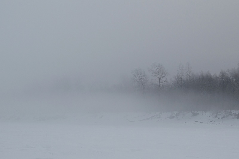 DSC_2343.jpg