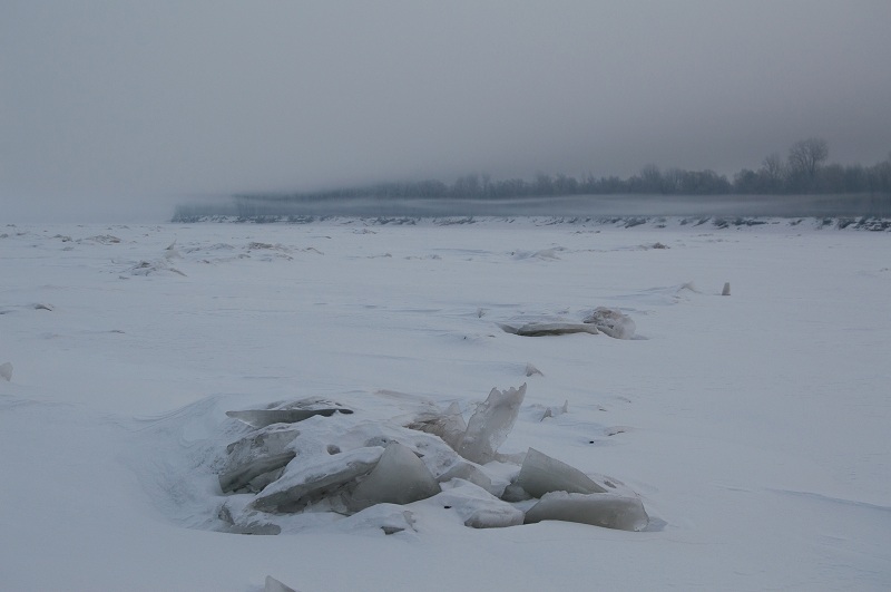 DSC_2339.jpg