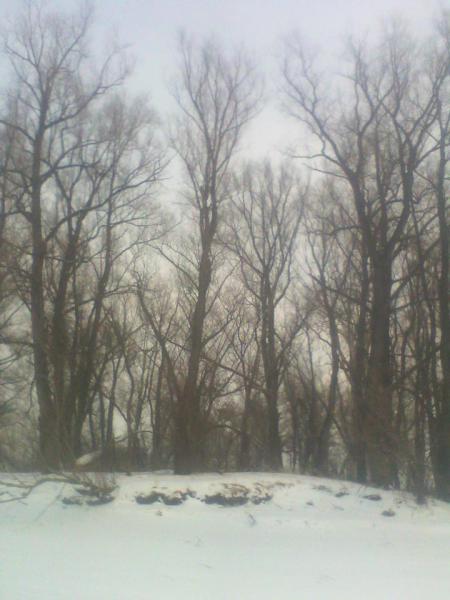 IMG_20180209_170349.jpg