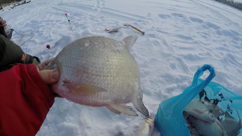 Эпизод 05.00_16_07_24.неподвижное изображение011.jpg