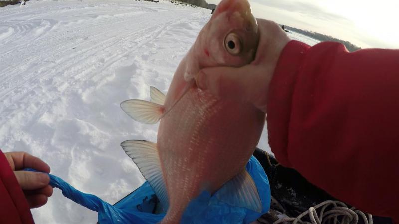 Эпизод 05.00_03_46_09.неподвижное изображение001.jpg