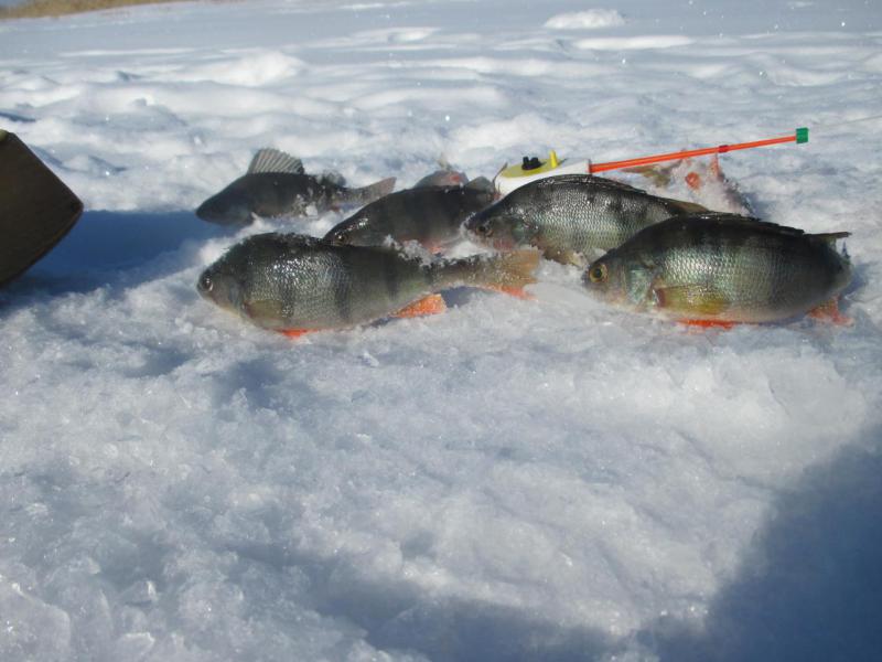 post-4648-0-97913300-1550239008_thumb.jp