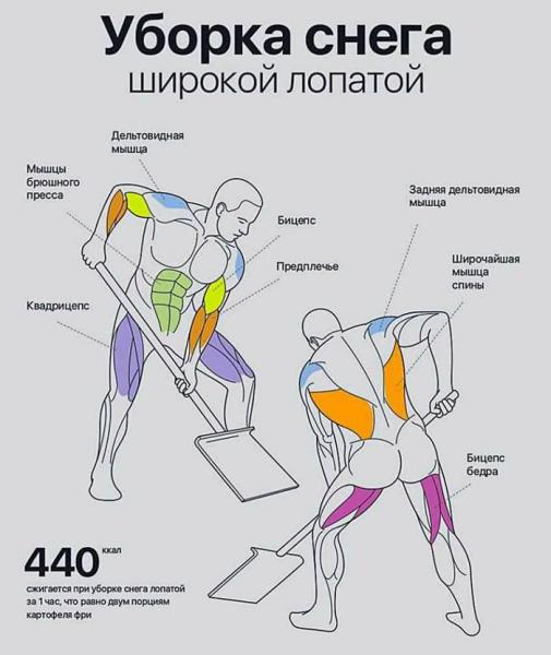 1514445217124085784.jpg