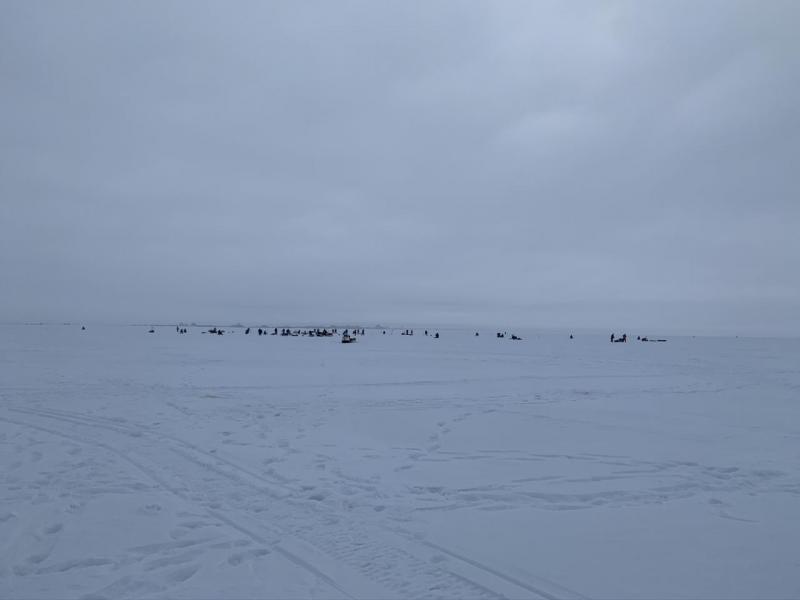 Прикрепленное изображение: IMG_1504.JPEG