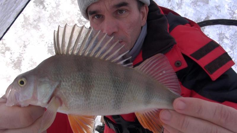 Эпизод 02.00_19_23_23.Still029.jpg