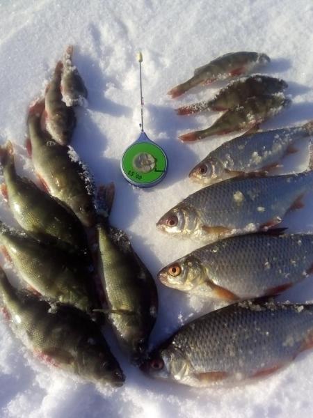 Прикрепленное изображение