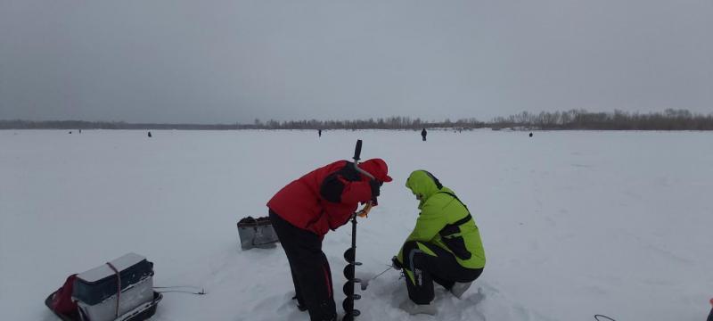 Прикрепленное изображение