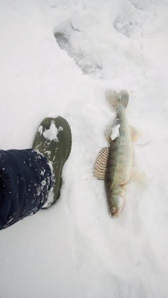 Прикрепленное изображение