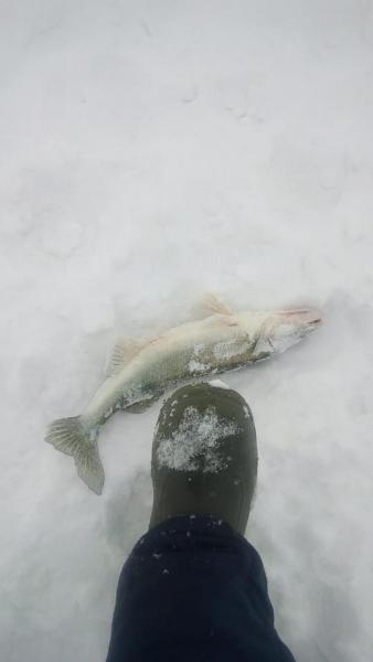 Прикрепленное изображение