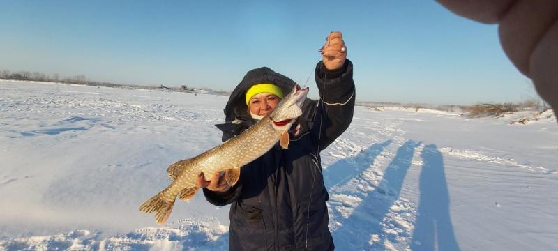 Прикрепленное изображение