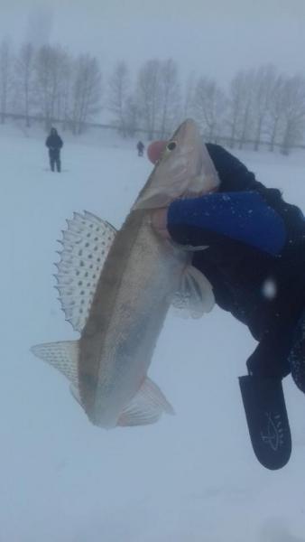 Прикрепленное изображение