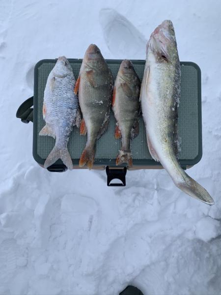 Прикрепленное изображение: IMG_1516.JPEG