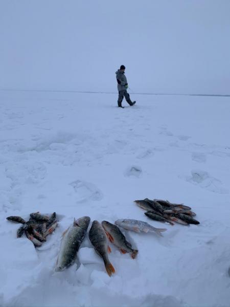 Прикрепленное изображение: IMG_1519.JPEG