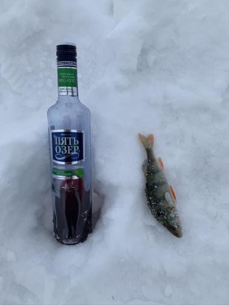 Прикрепленное изображение: IMG_1510.JPEG