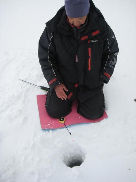 Прикрепленное изображение: IMG_8596.JPG