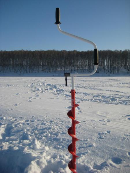 Прикрепленное изображение: IMG_8528.JPG