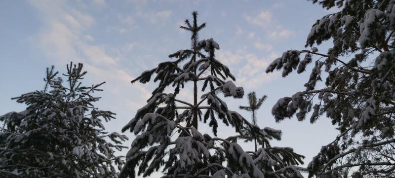 Прикрепленное изображение: 20200223_181040.jpg