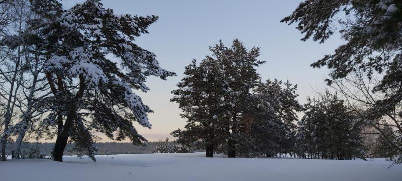 Прикрепленное изображение: 20200223_181217.jpg