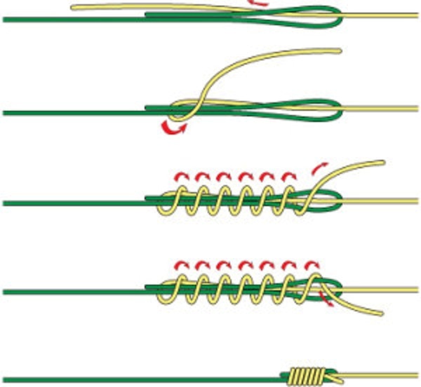 Albright-knot-uzel.jpg
