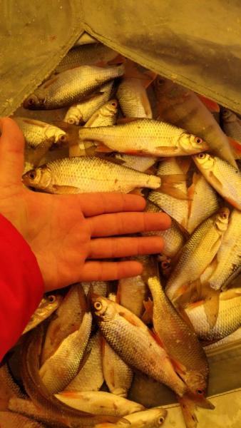 IMG-20200203-WA0003.jpeg