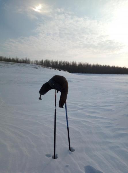 шпаро1.jpg