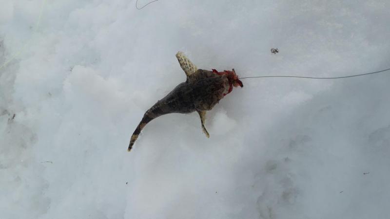 IMG-20200214-WA0000.jpeg