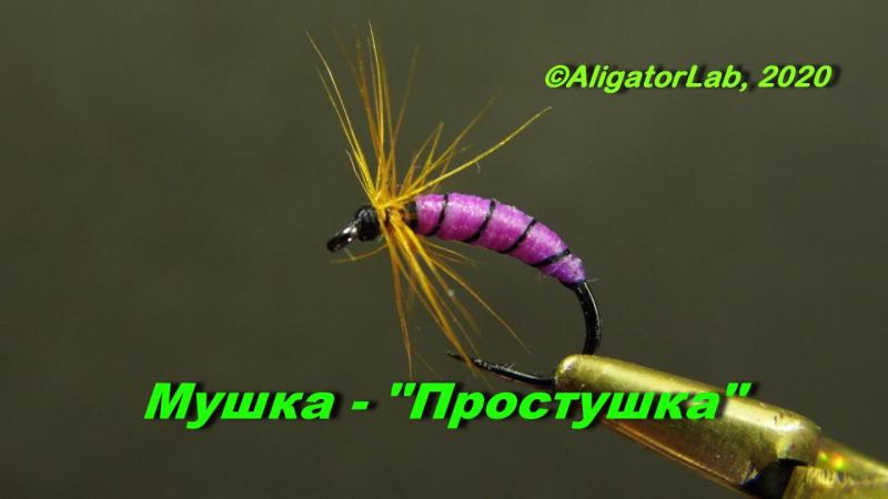 ЗАставка к ролику.JPG