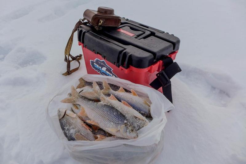 без имени-35.jpg