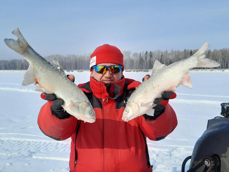 Прикрепленное изображение